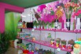 /album/galeria/a28032013154955-gibam-jpg/